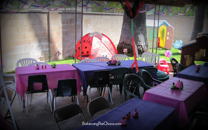 Ladybug Birthday party Decorations