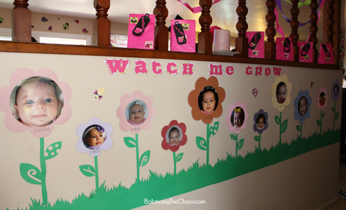 Watch Me Grow Ladybug Picture Wall, Ladybug Birthday