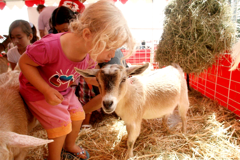 Petting Zoo at Americas Family Pet Expo