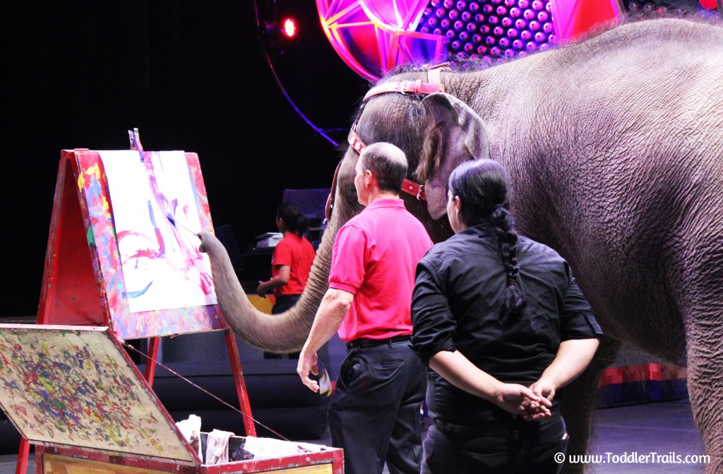 Ringling Bros Mabel