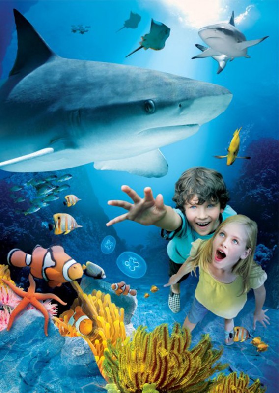 Sea Life Week Shark Week at Sealife Aquarium, Legoland California - Toddler Trails