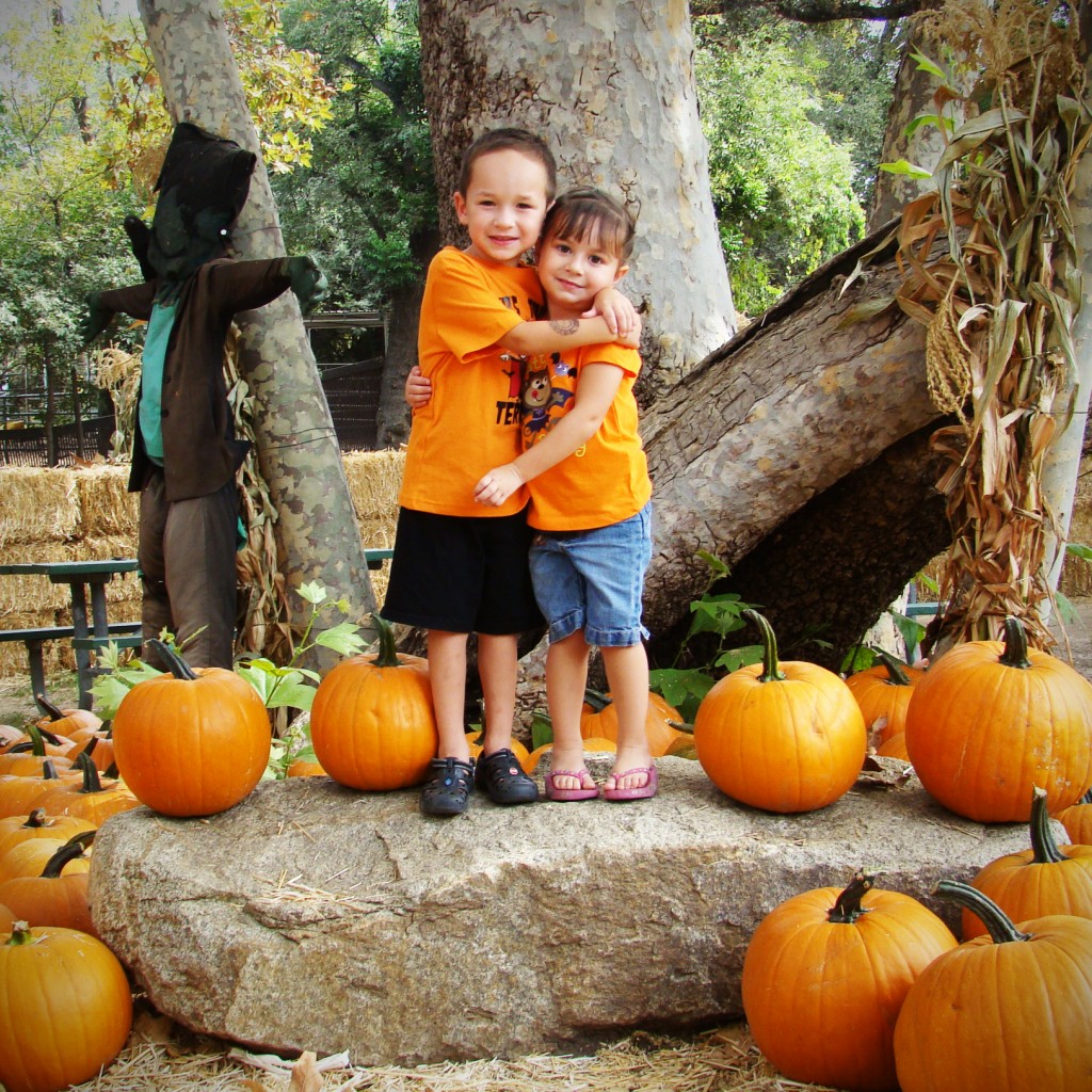 Irvine Railroad Pumpkin Patch