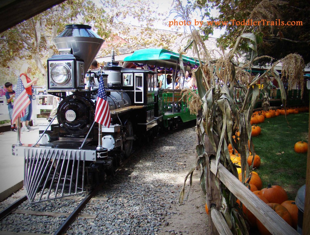 Irvine Railroad Pumpkin Patch Train