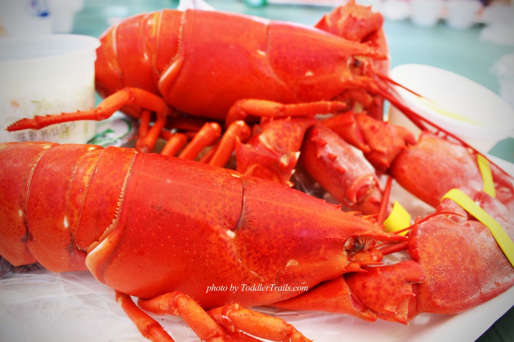 Lobsters #shop