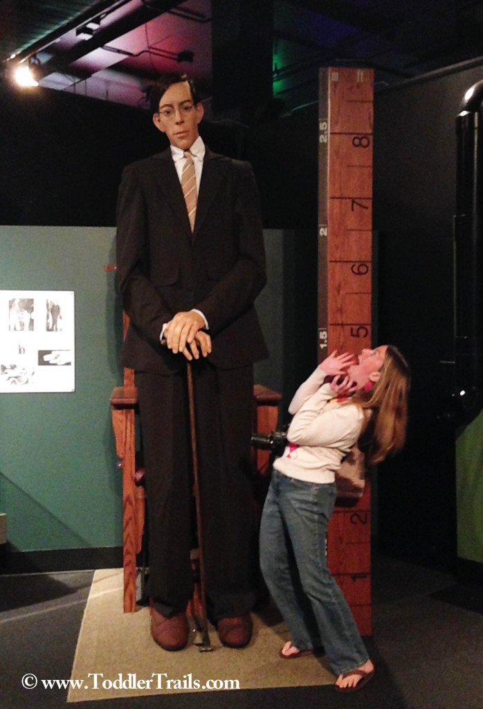 DSC Science Ripleys Tall