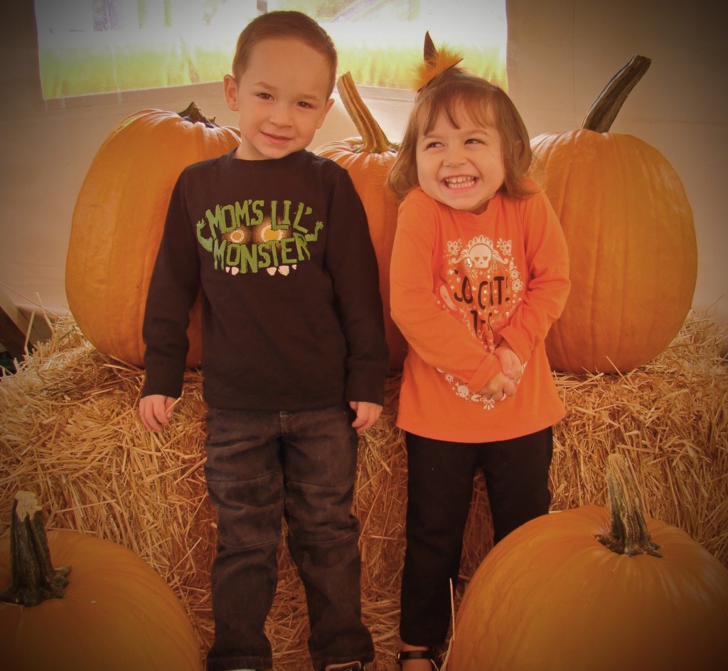 Pumpkin Patch Fun