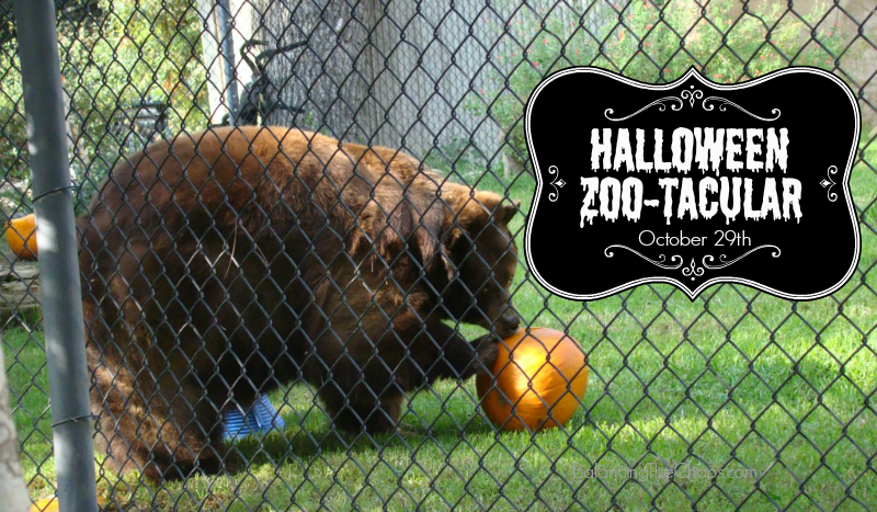 Halloween ZooTacular