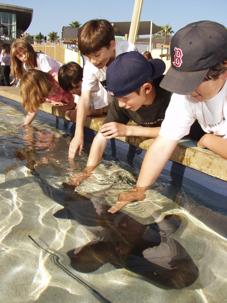 Shark Lagoon Nights at Aquarium Of The Pacific