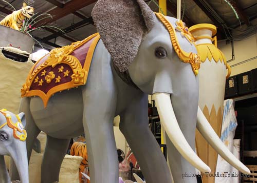 Dole Rose Elephant