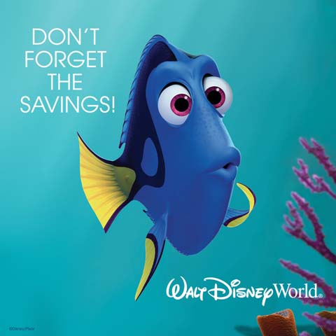 Amazing Savings on Walt Disney World Vacations