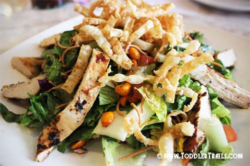 Farrells Chopsticks Chicken Salad