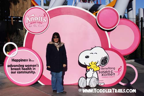 Knotts Pink Magnet Wall