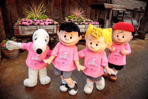 Knott's has donated $25,000 to Susan G Komen