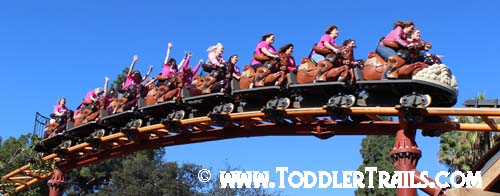 Knotts Pink Survivor Pony Express 2