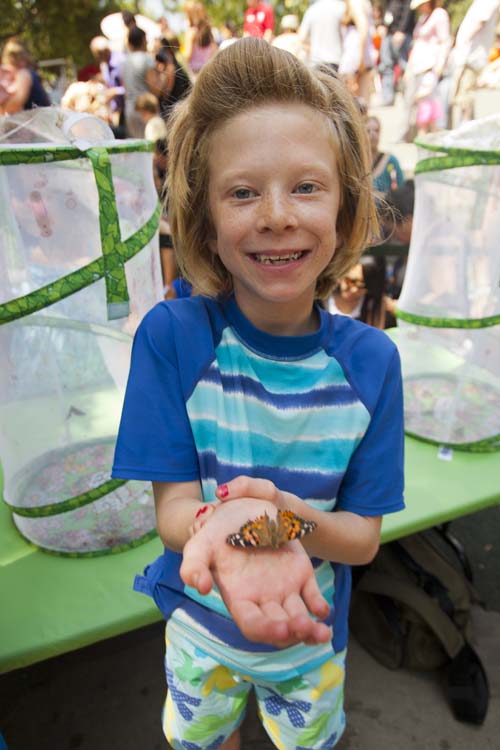 Butterfly Release