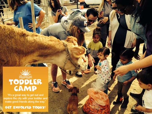 Toddler Camp Petting Zoo