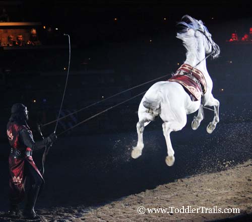 Medieval Times Andalusian Jump