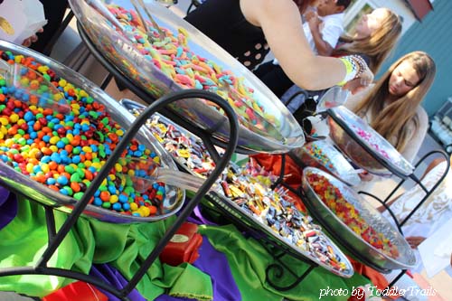 Hoag Summer Movie Classic Candy Bar