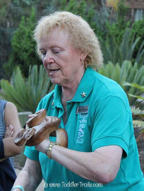 Family Jam LA Zoo Critters