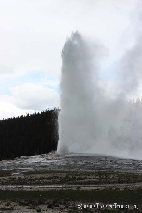 Yellowstone Old Faithful Geyser