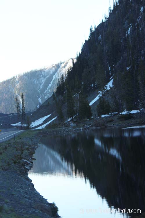 Yellowstone Snow