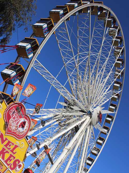 Each Summer, we make it a plan to visit the OC Fair in Costa Mesa at