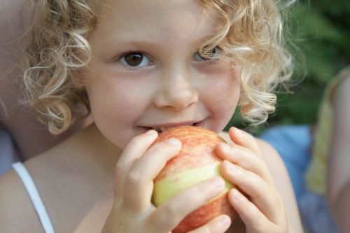 Healthy Smiles, Pretend City, toddler dental