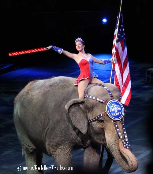 Ringling Bros Elephant