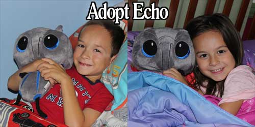 Adopt Echo