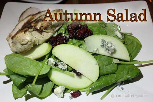 Calvino Autumn Chicken Salad