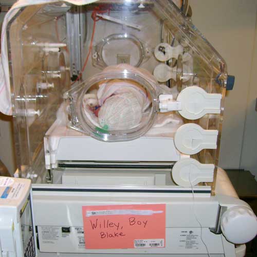 Willey Preemie, NICU