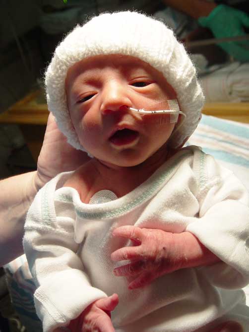 Willey Preemie