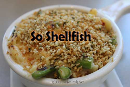 Elbows-MacNCheese-So-Shellf