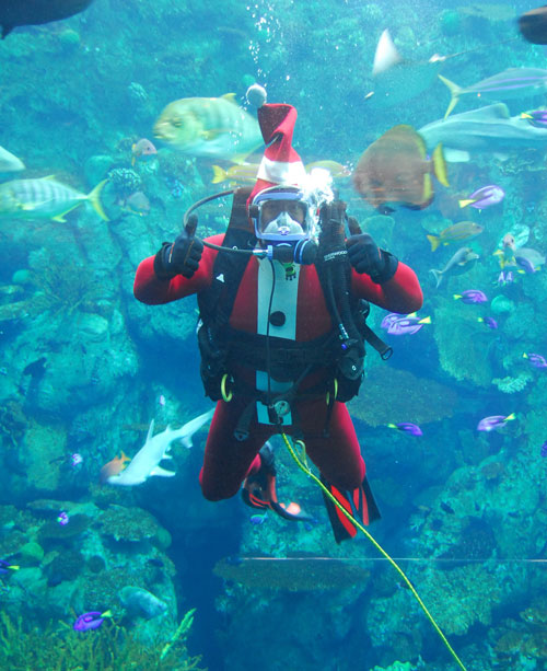 Santa-Diver