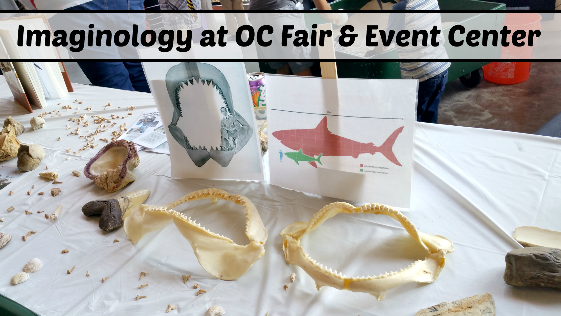 Imaginology at OC Fair and Event Center