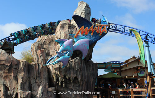 SeaWorld San Diego, Manta Roller Coaster