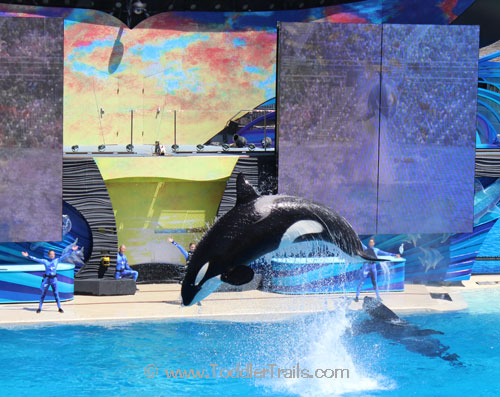 One Ocean, SeaWorld San Diego, Killer Whales