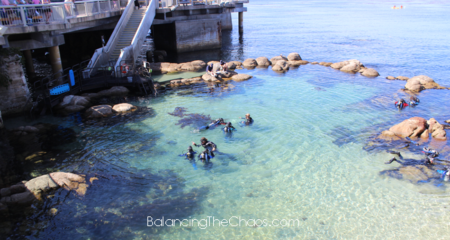 Monterey Bay Aquarium Underwater Explorers
