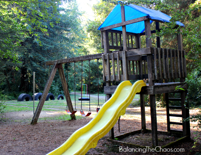 Mystic Forest Playground