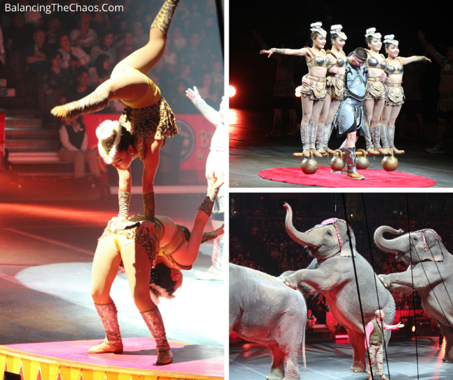 Ringling Bros Acrobats