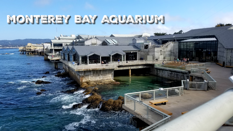 The Monterey Bay Aquarium