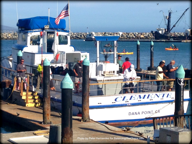 Dana Wharf Sportfishing and whale watching , Clemente