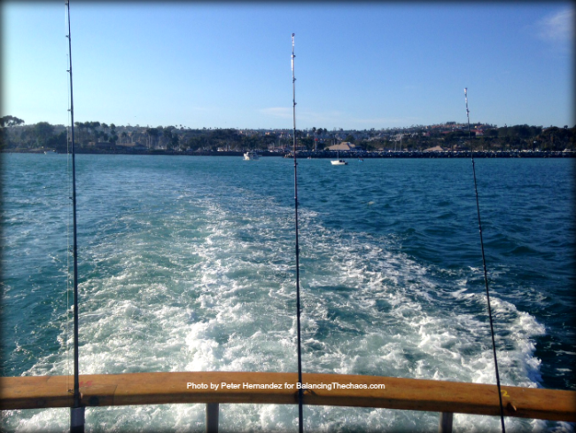 Dana Wharf Sportfishing and whale watching, fishing poles, 