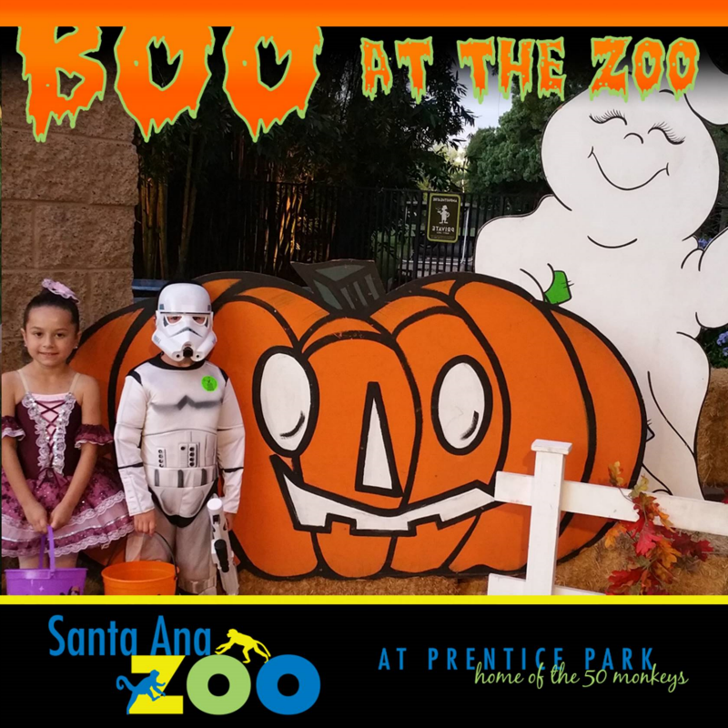 Boo at the Santa Ana Zoo with pumpkin