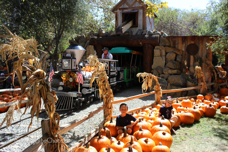 Irvine Park Railroad Pumpkin Patch