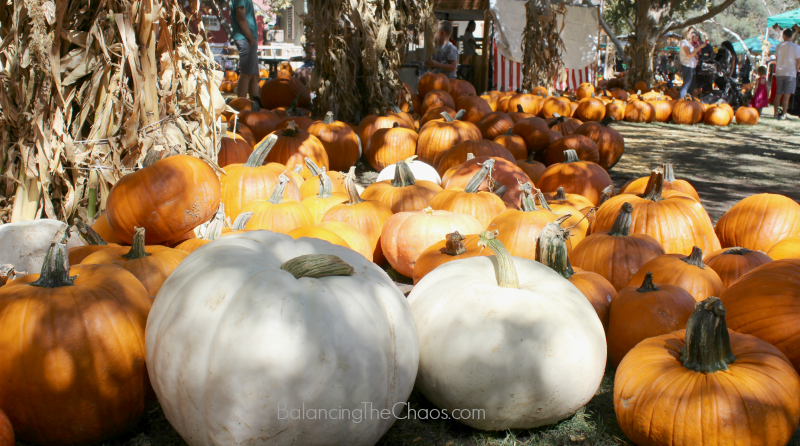 Irvine Park Railroad Pumpkins