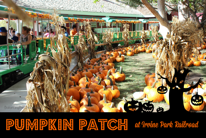 Pumpkin Patch Irvine Park RR