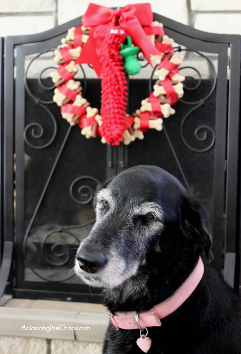Minnie and Treat Wreath