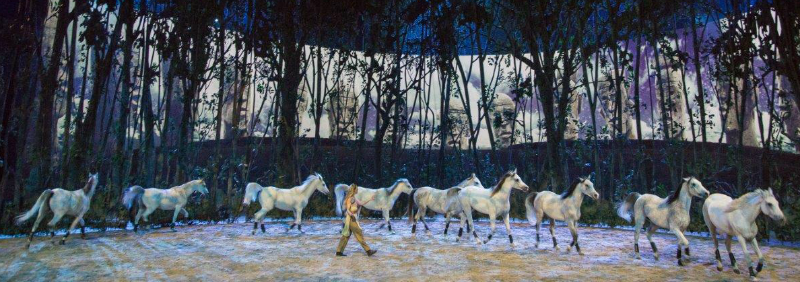 horses from Cavalia Odysseo