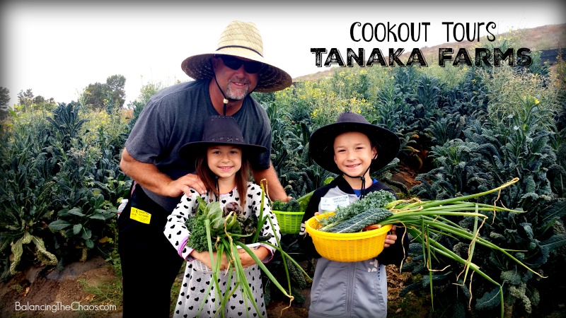 Cookout Tour at Tanaka Farms